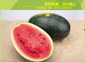 黑瓜吃瓜在线观看